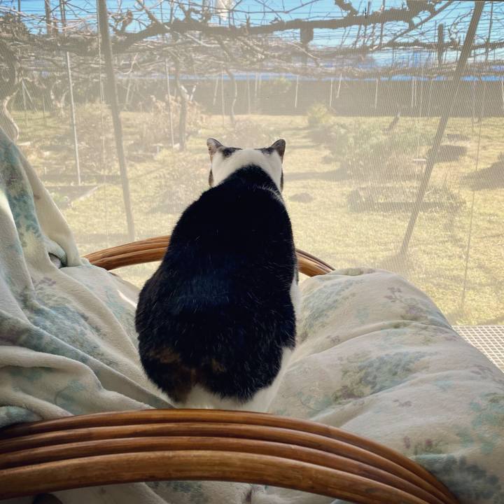 0bb3c0a9 8890 4503 b5cd fb347ccbb6ea 1639790542531