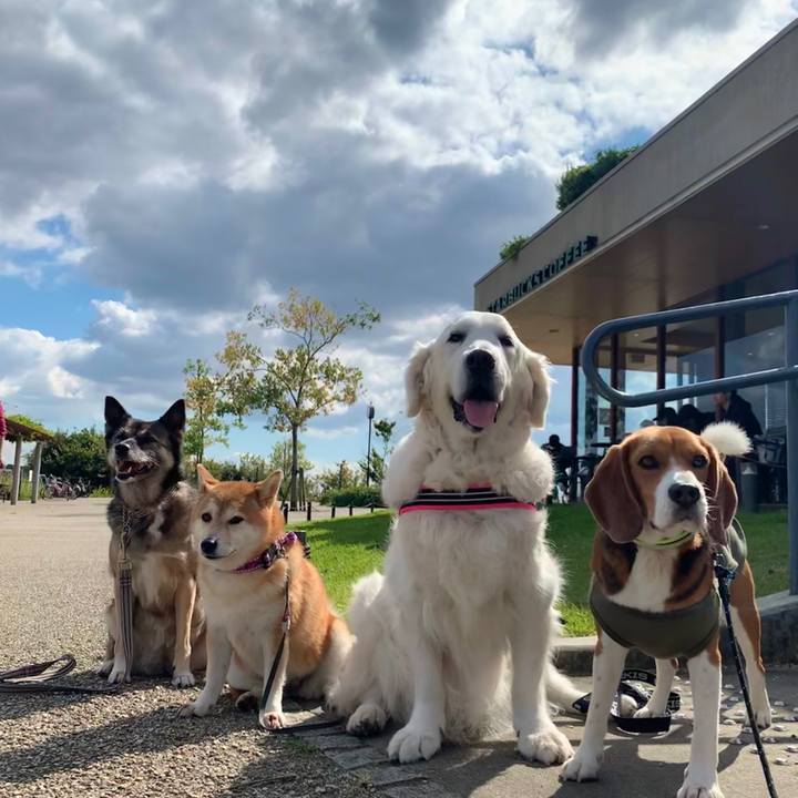 0bb3c347 0e09 4638 87eb 28abff249ee3 1603326920575