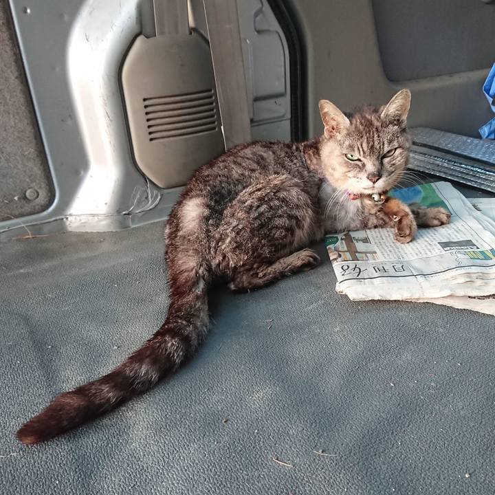 0bb3d32d 4025 4856 8db7 71ae9a88ec9e 1598560781951