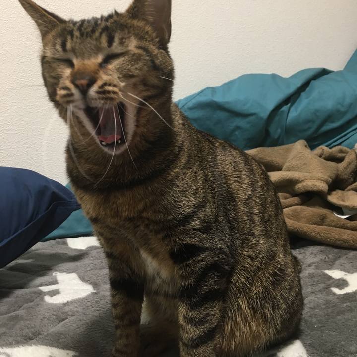 0bb3ecff d1f7 4d8f 8c50 7c82970eb37d 1520151520440