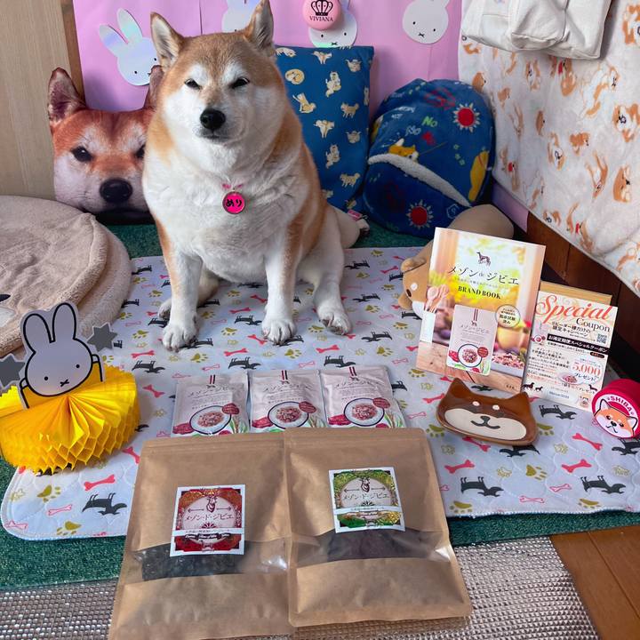 0bb3f466 a502 4e89 af04 ef7e804f619c 1680575433633