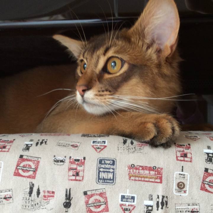 0bb3fa50 6508 44b1 b7f7 109b285f85fe 1587161771978