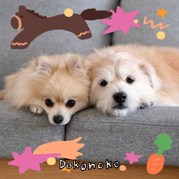 0bb4283f ba56 4810 8bdf bb7fa3f81a09 1772316850830