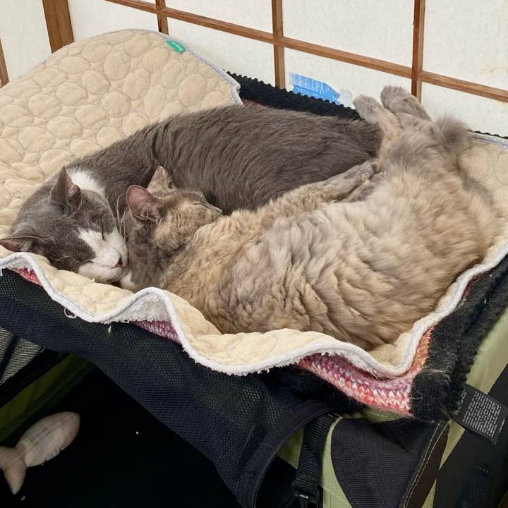 0bb43dc9 c334 4253 9efb ce9246dbfd81 1757740337187