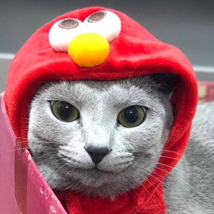 0bb43edb d144 4f23 a030 5f0d46ae93e1 1544364371267