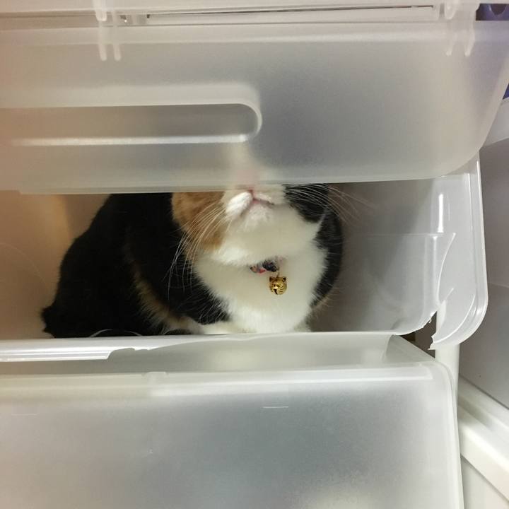 0bb44f2e 5447 4f65 9614 16d6e90f6491 1515155894371