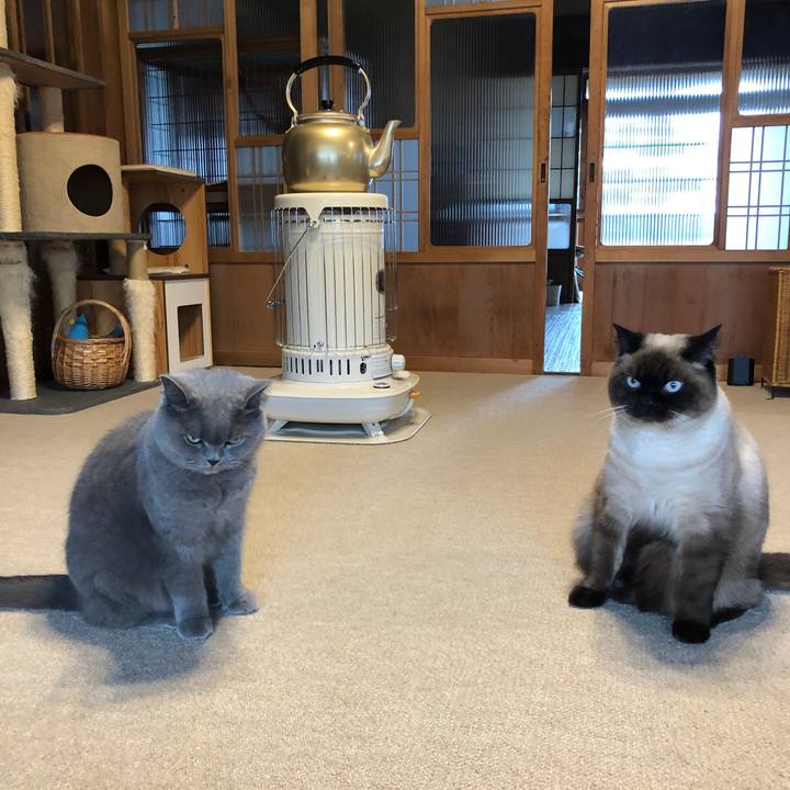 0bb46b7b 0cb1 4762 8443 cde0f16b1995 1614915567932