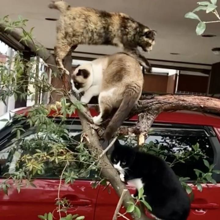 0bb47ff8 16ff 4193 b480 5d162f984c17 1732644567521