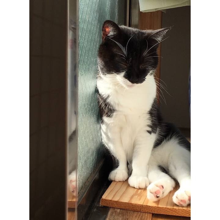 0bb4b0e5 19c9 49e5 a1a5 e2535e704381 1510724585676