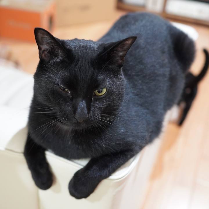 0bb4e939 7d1d 4a74 bdf4 85dffd563c80 1591341902319