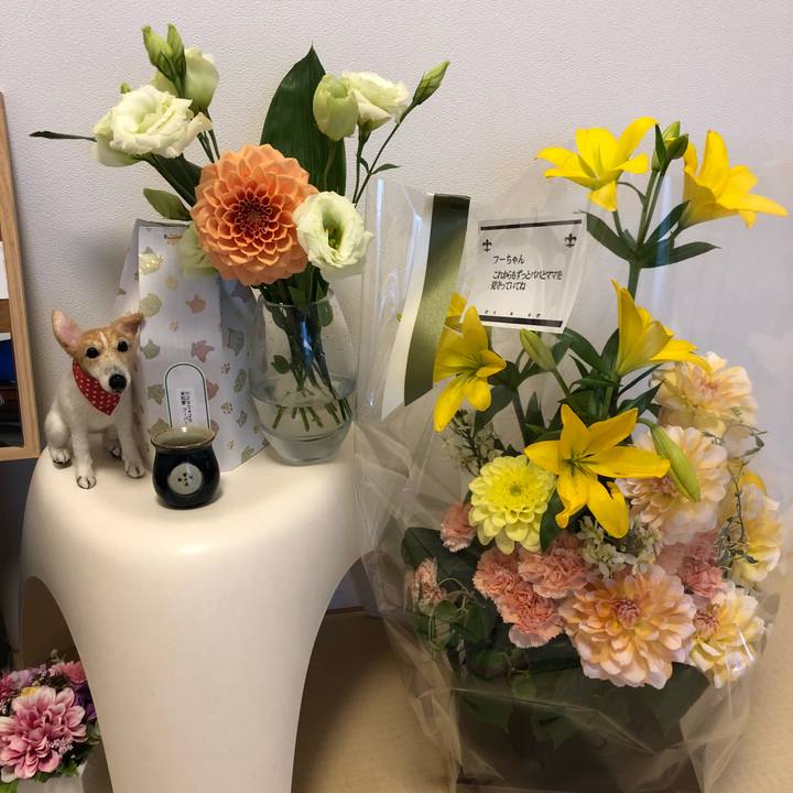 0bb51a79 30a7 4109 94cf b529f7280c31 1524649450864