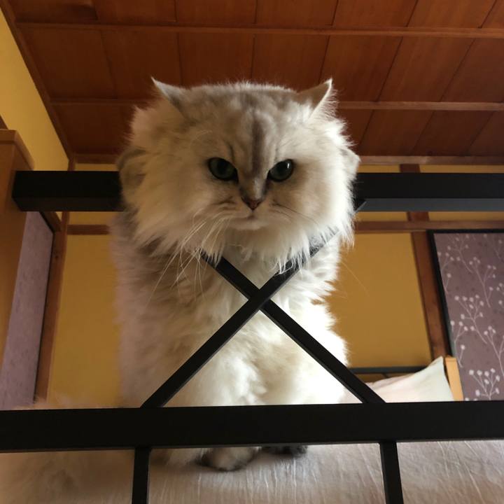 0bb54dbb d617 4e14 becf 0613bbe0b51e 1597886204698