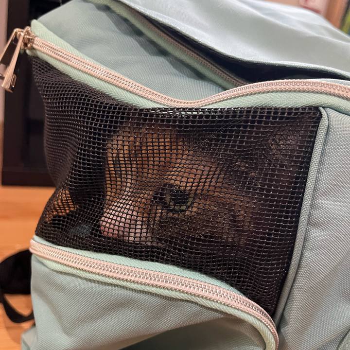 0bb54e05 0252 479c b71d 1052910d1e4c 1724723170327