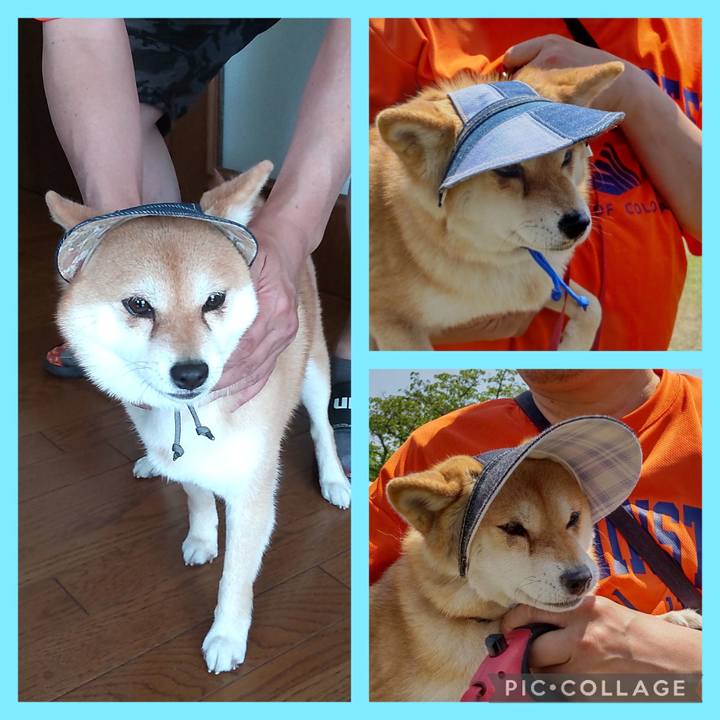 0bb58b96 efcd 4f8f 964d 5a70bb88c985 1745639934225