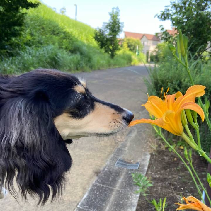 0bb58c67 3827 41ad ab61 16d367f865f8 1688682482325