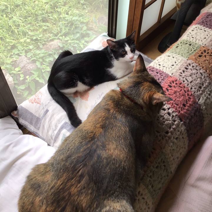 0bb5be35 377f 4ba9 8a25 1182c626e084 1631076060982