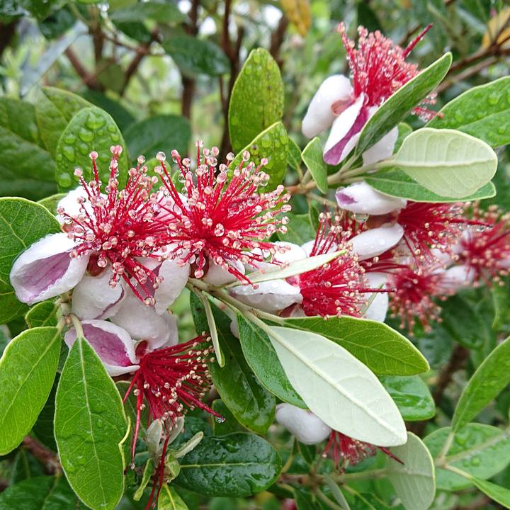 0bb5ceac 4d10 4e97 bc67 a336e80c64ff 1653868234436