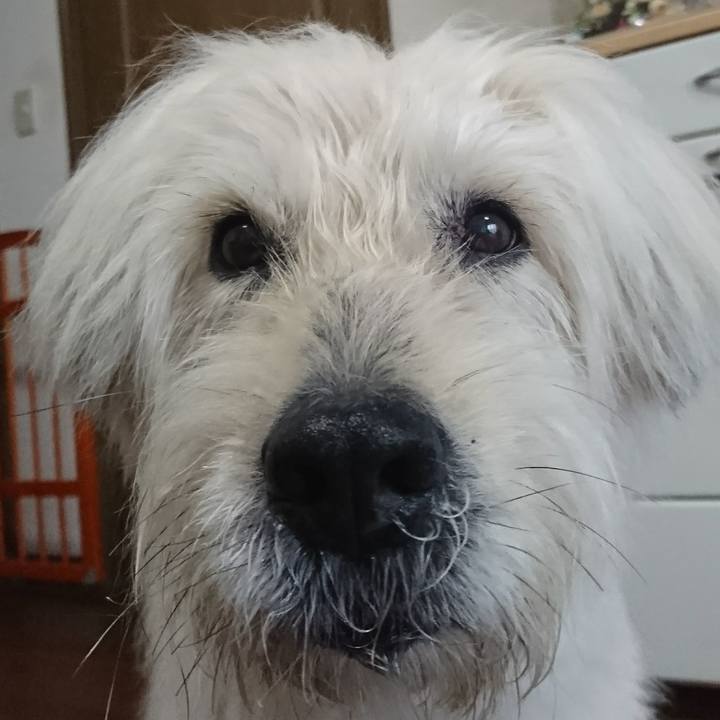 0bb5fa71 4e57 49d7 b449 4031750b4cb3 1589337744966