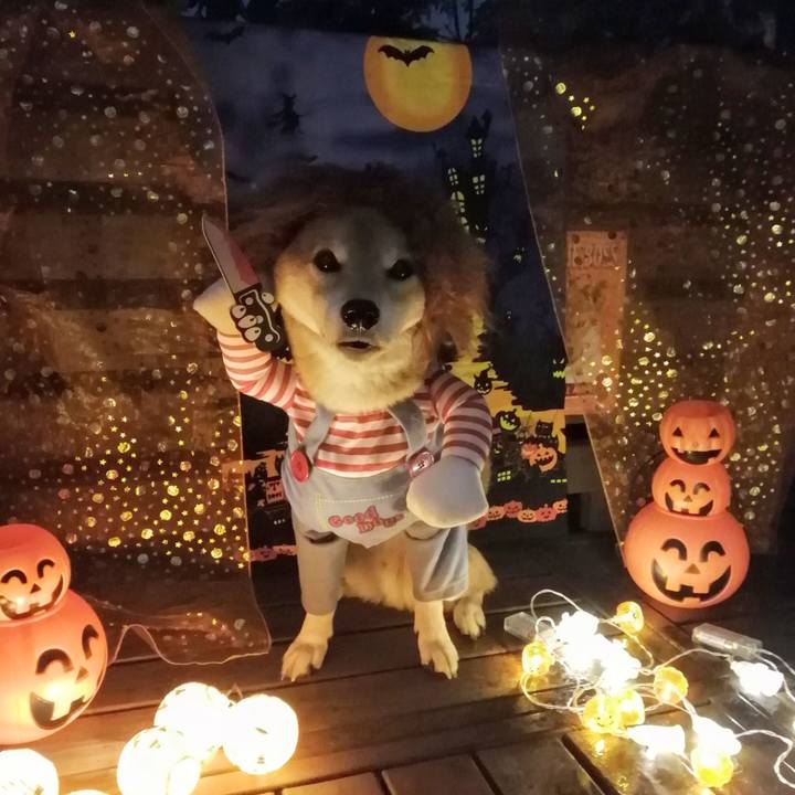 0bb6124f 258e 4712 88ed aeefd701b011 1635677379985