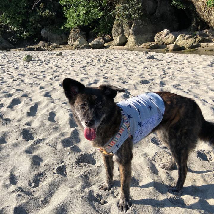 0bb62377 b56c 40e3 a350 6175200cf071 1597710790412