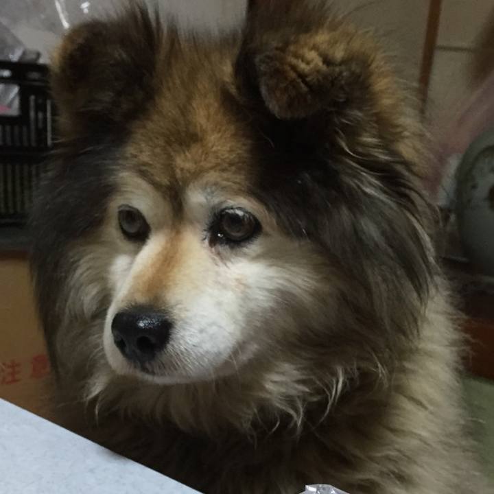 0bb6334a 2b2c 4099 99d5 b28be7ba31b3 1574841192498