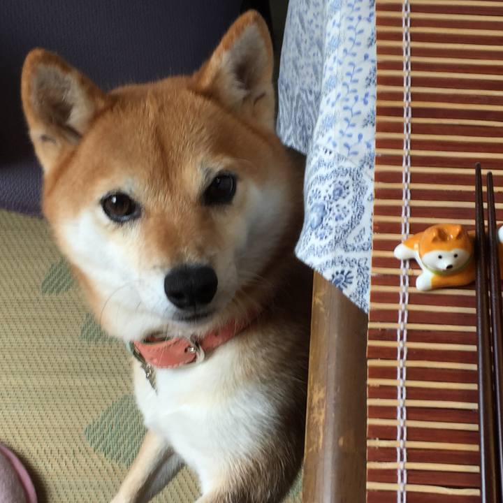 0bb635bc 5aa8 409d a4e9 b136e89521ef 1509752334036