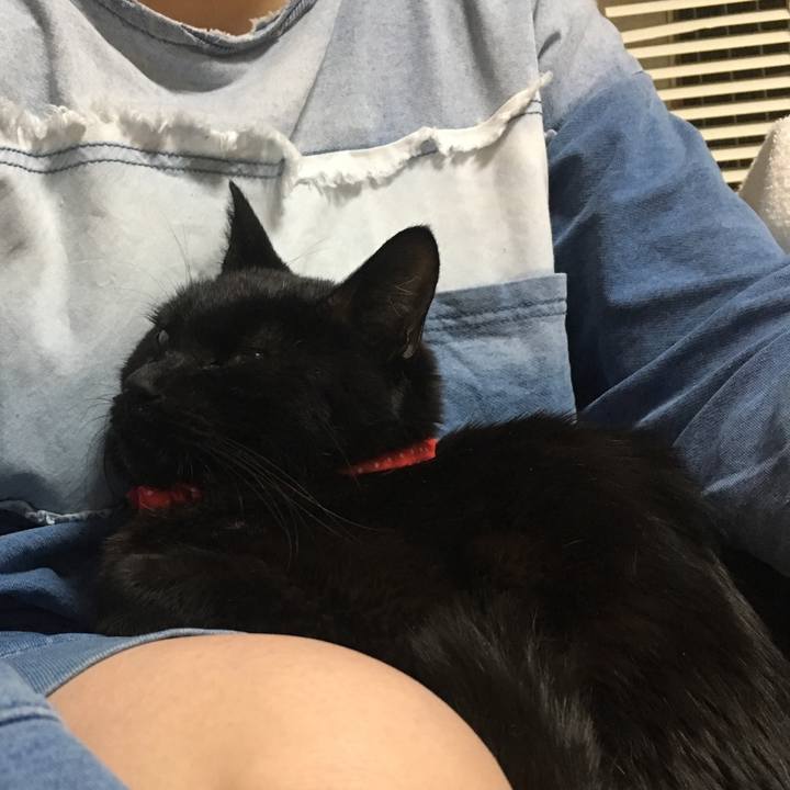 0bb6495d 9f05 47e6 8686 4cf00459cf68 1562449792571