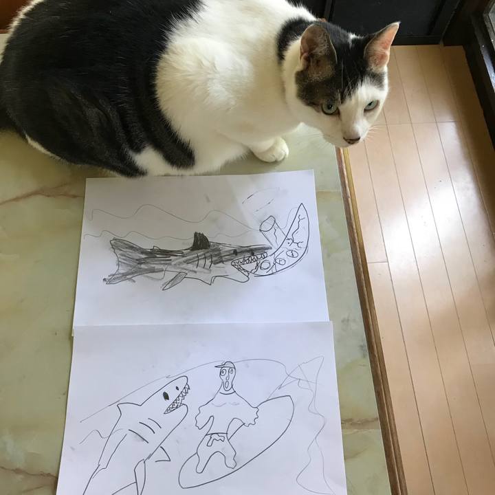 0bb6c63c 1871 49e2 aa7e 049ad168bb15 1529885092073