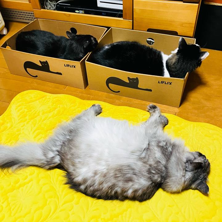 0bb6cb8f 9f42 48a4 b25f 8fa616a0b70f 1748133525484