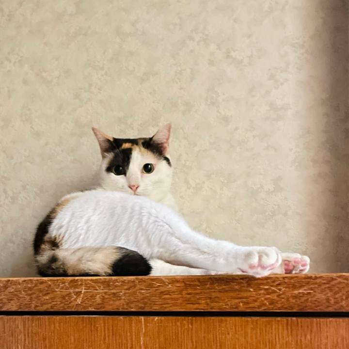 0bb6e7eb 43f1 4b28 964b 43266ab9438c 1635125911856