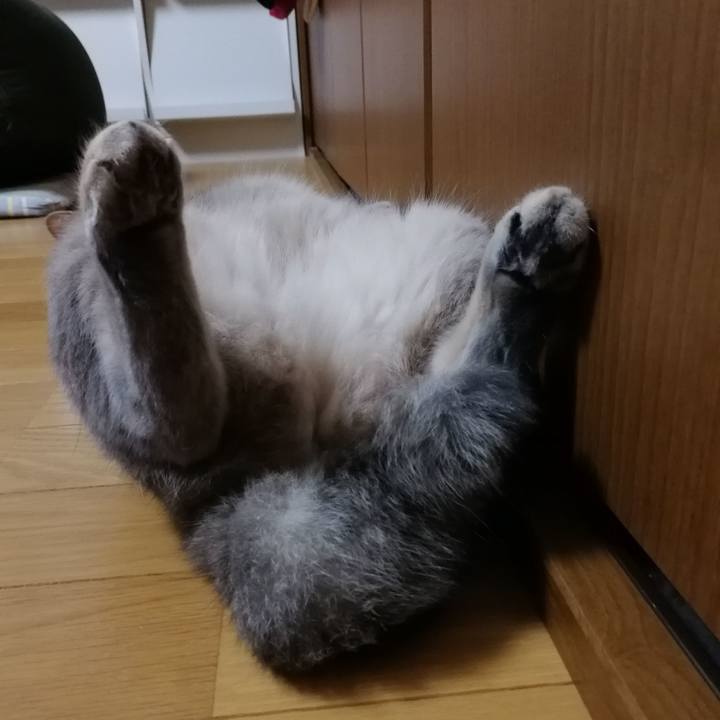 0bb6fb6c db4e 4c99 bc60 d2fa0dbb23bf 1535031821331