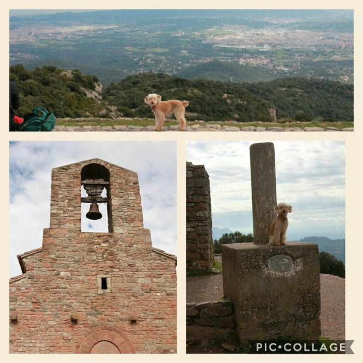 0bb6fdbe 7b1c 4aa5 80ce 773a178d5a70 1559115738422