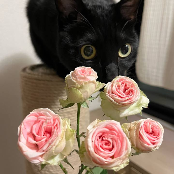 0bb70c8b 8575 4976 a5a4 d5eb4c60a4ec 1675124322855