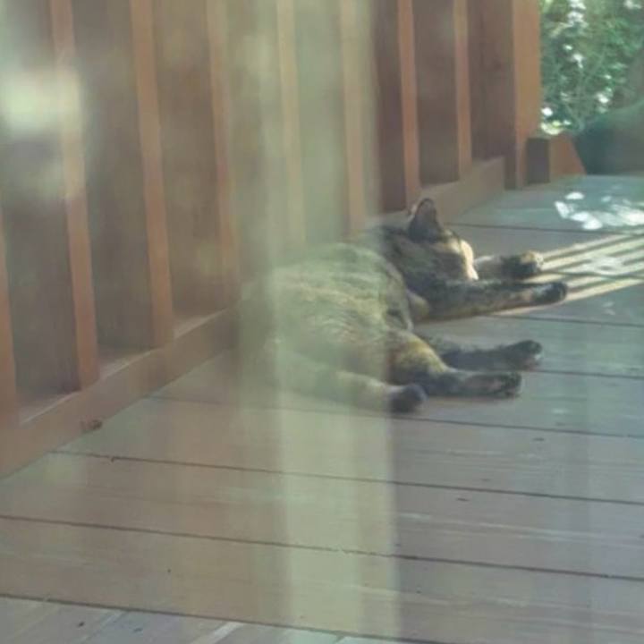 0bb73753 dd45 4ce3 8701 d566ddbaf246 1751104036570