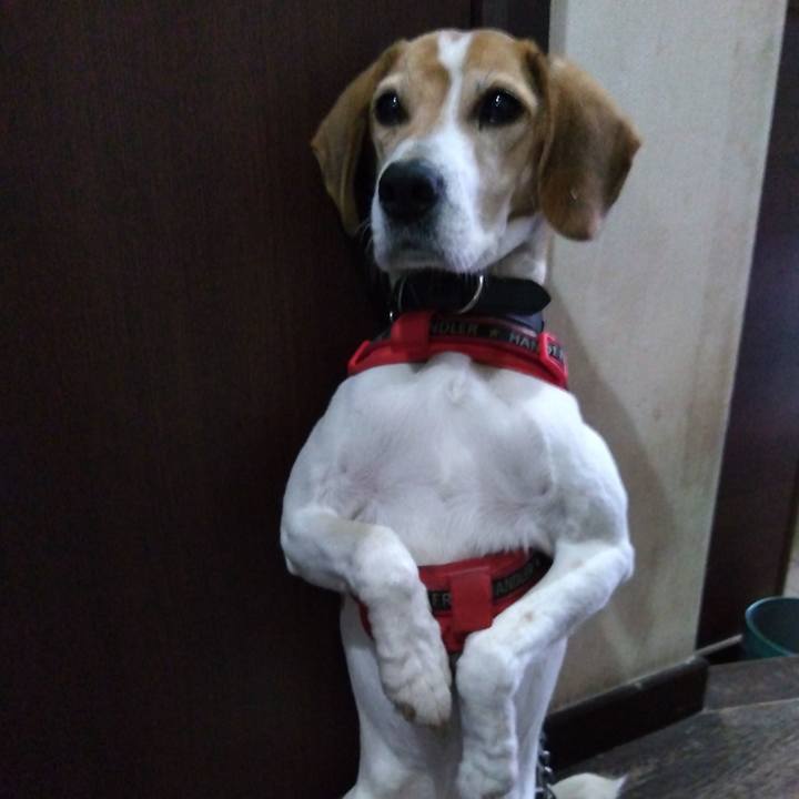 0bb77f56 0cb5 40a8 845c c870df1850f7 1709466998518