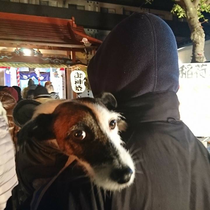 0bb7b55f cb4a 4395 880c 5d15b98c0ede 1546274176988