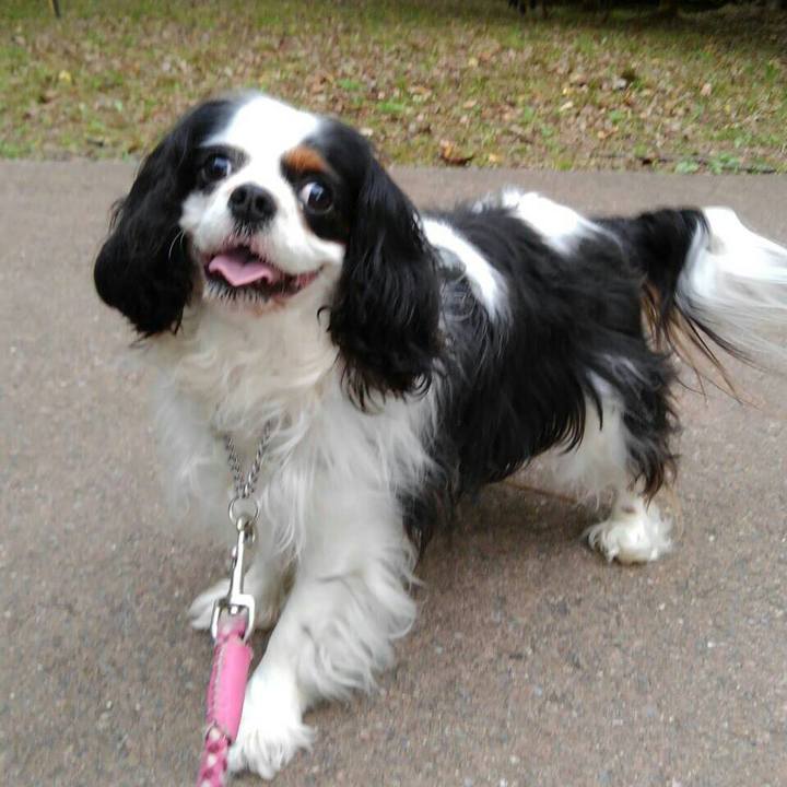 0bb7dd6e 04f1 4891 a90b 9980f04f9d54 1527946087919