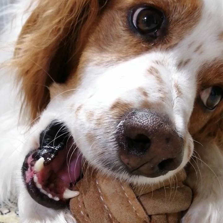 0bb8320b 5022 4318 a9d9 151d1bcaa470 1592480428224