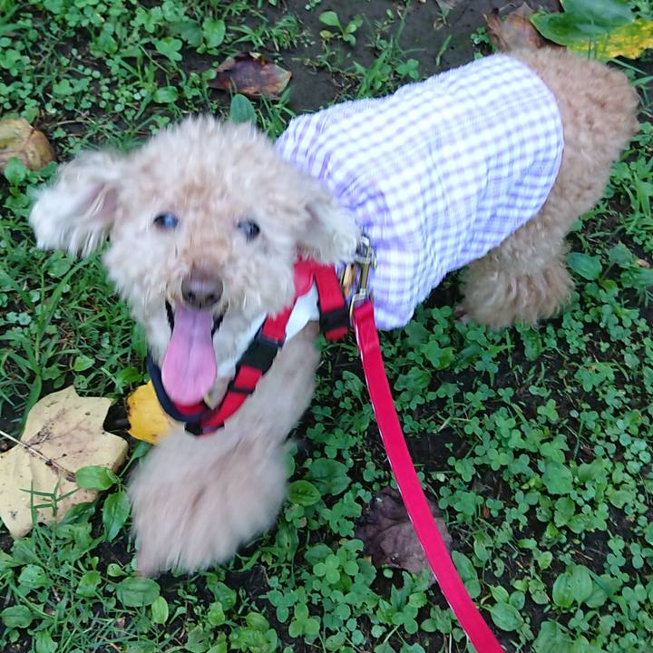 0bb85219 f8f9 4c14 bb91 462da8c73905 1625987416627