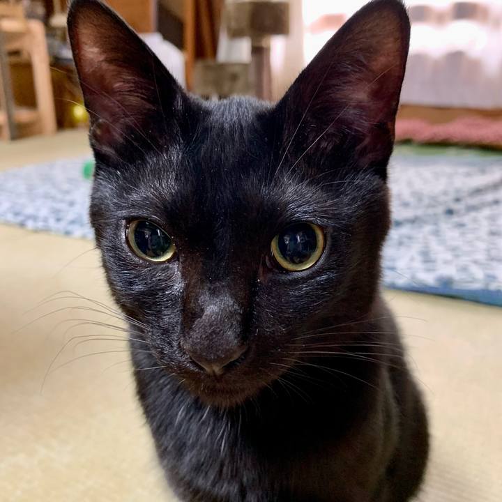 0bb861f0 6012 4766 abd6 112198e2ad5a 1652923146793