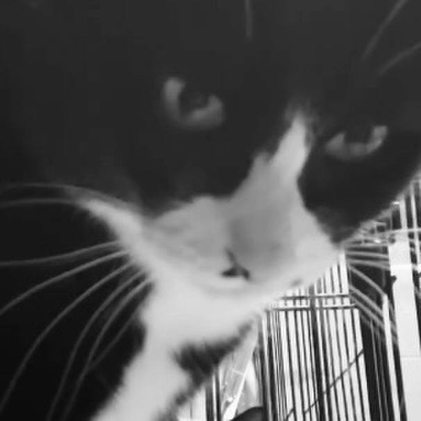 0bb868e5 b2fd 4bb0 b9d7 1611cd0259cb 1739611533662