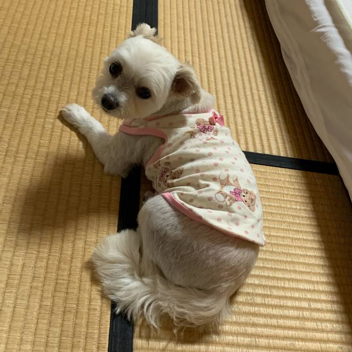 0bb8a8a4 51f7 4116 83ff 2f7120b05ead 1598268049813