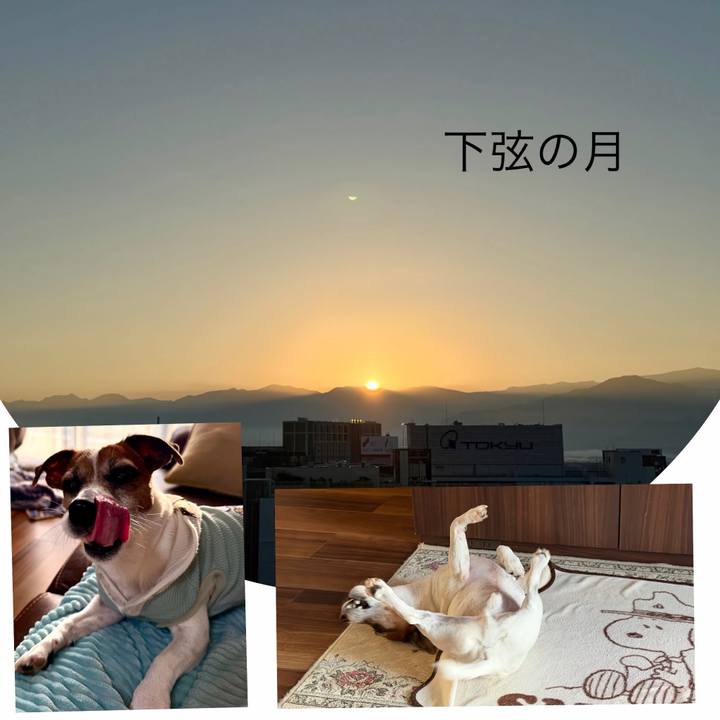 0bb8b6ef 04d0 4412 ab91 27cc1b8baf4f 1791499014455
