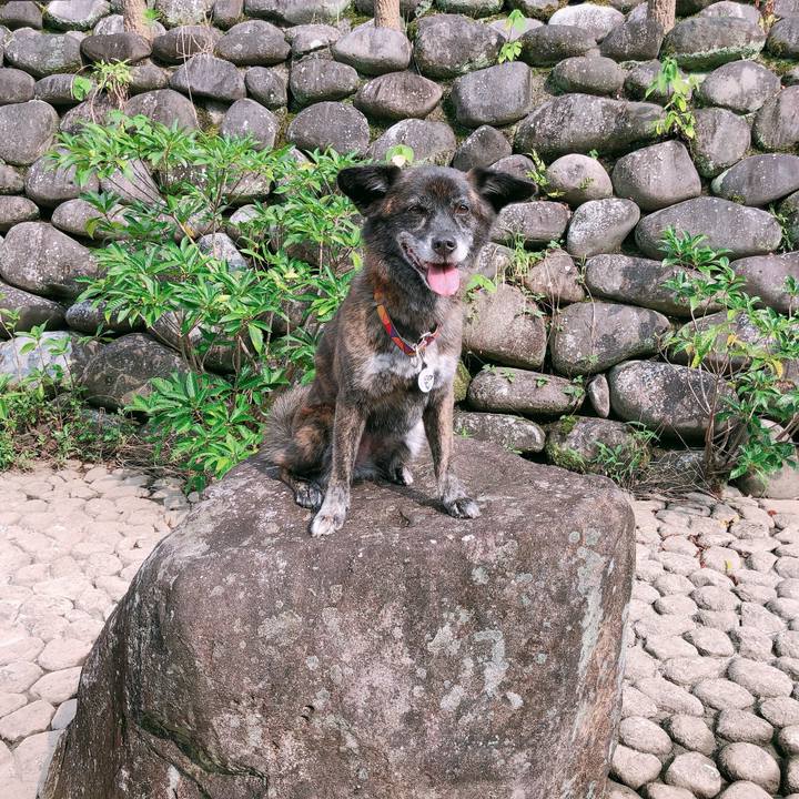 0bb8dde4 3f63 4b52 b3df 31a0f964e897 1597219222258