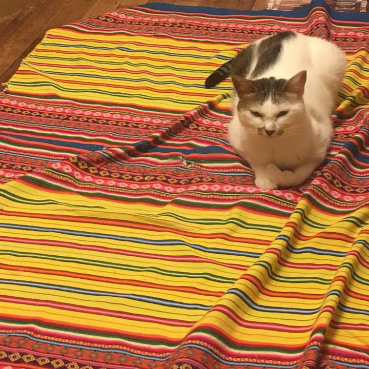 0bb91cc7 8c51 41d7 a01f 71061d86431a 1568026505429