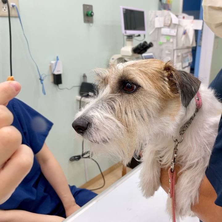 0bb924e1 bebf 4553 b344 accbb63d54f5 1690801848302