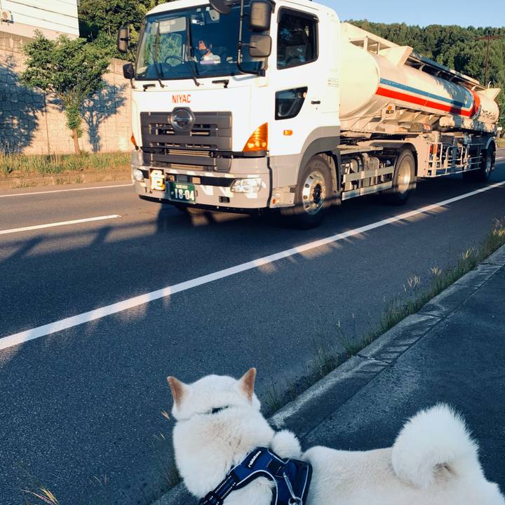 0bb93c8c af27 405f 8426 e75af0e16abf 1630445534505