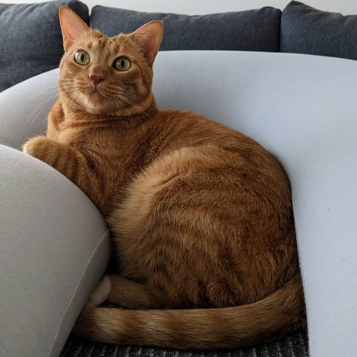 0bb93dd5 d90a 412d a5bd c82a123a1985 1671583593336