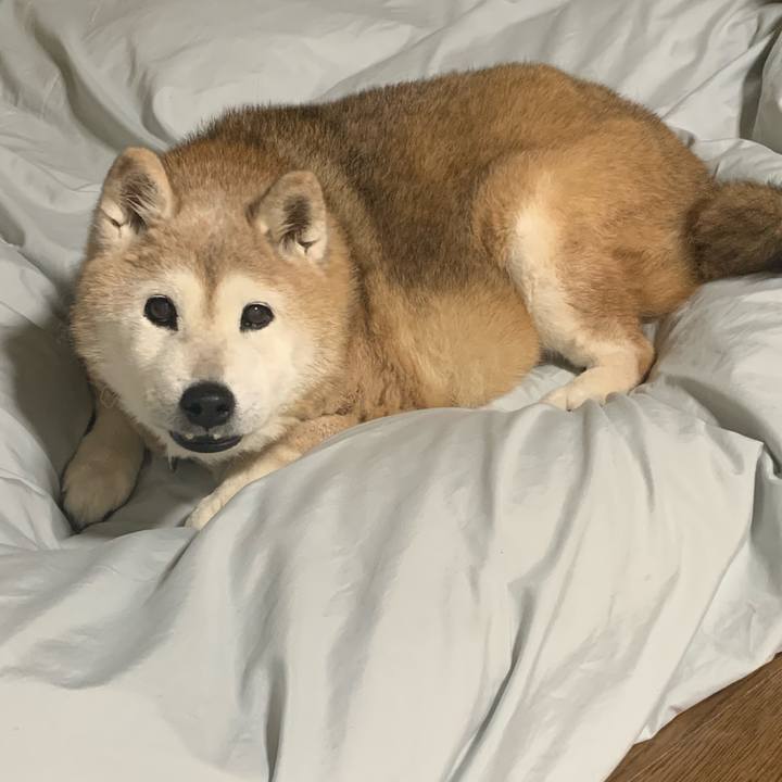 0bb94d21 e1ee 41f9 9f0d a07f46d580f5 1676296851583