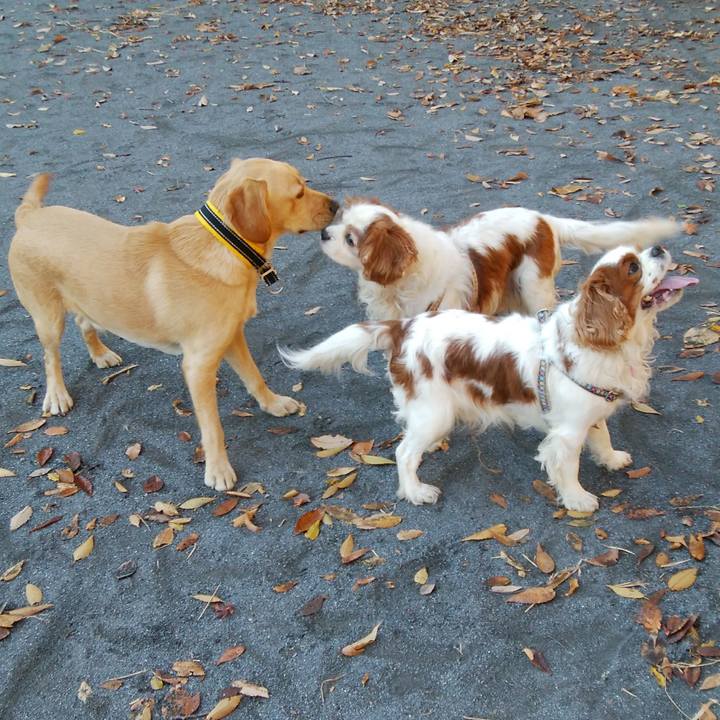 0bb95d9c 4e7d 4d5a 830a 5f4b0f5d67fd 1512524188170